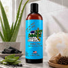 A bottle of Dirt Dangles sneaky dekes scented Hockey Body Wash stands on a bathroom counter with a white loofah, aloe vera, charcoal, and a potted aloe in the background.